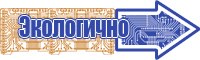 Толстовка с мишкой